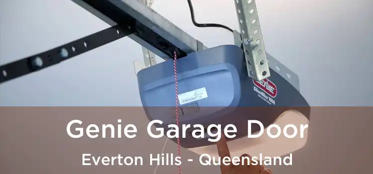 Genie Garage Door Everton Hills - Queensland