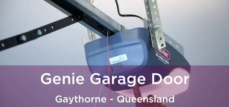 Genie Garage Door Gaythorne - Queensland