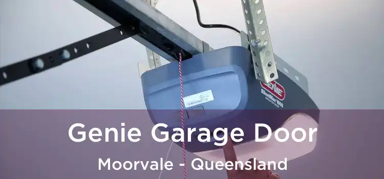 Genie Garage Door Moorvale - Queensland