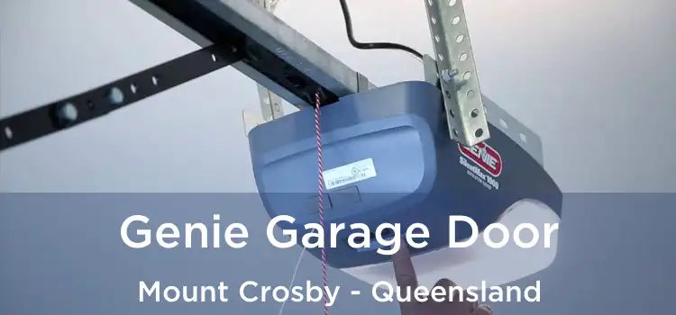 Genie Garage Door Mount Crosby - Queensland
