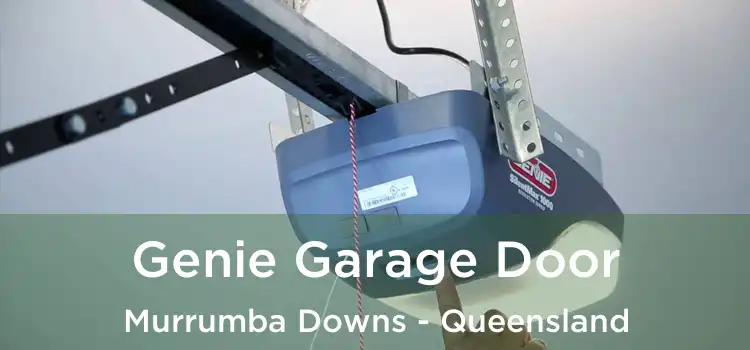 Genie Garage Door Murrumba Downs - Queensland