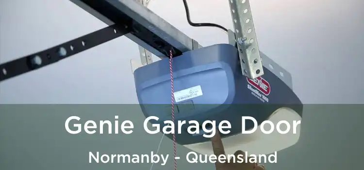 Genie Garage Door Normanby - Queensland