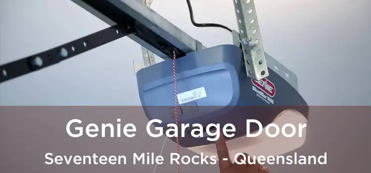 Genie Garage Door Seventeen Mile Rocks - Queensland