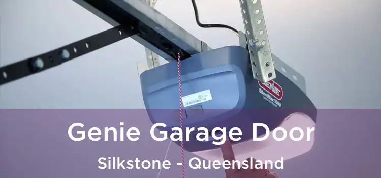Genie Garage Door Silkstone - Queensland