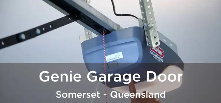 Genie Garage Door Somerset - Queensland