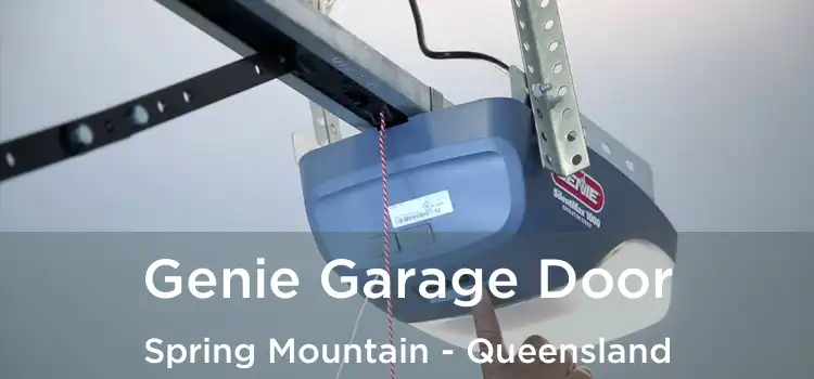 Genie Garage Door Spring Mountain - Queensland