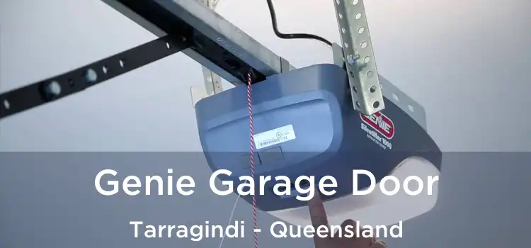 Genie Garage Door Tarragindi - Queensland