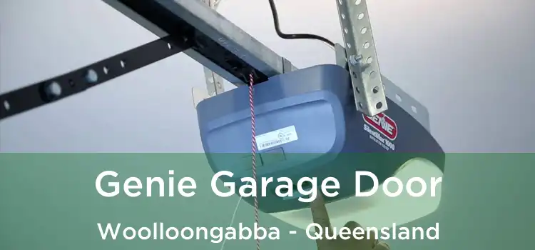 Genie Garage Door Woolloongabba - Queensland