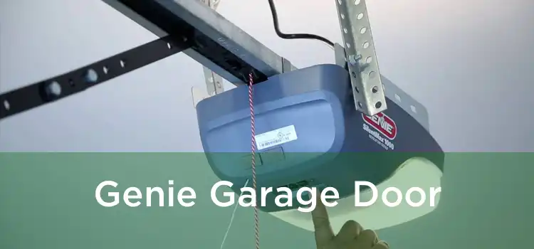 Genie Garage Door
