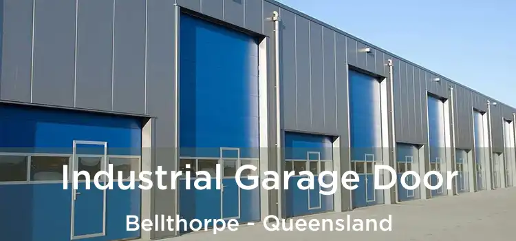 Industrial Garage Door Bellthorpe - Queensland