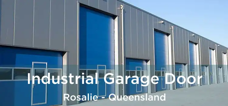 Industrial Garage Door Rosalie - Queensland