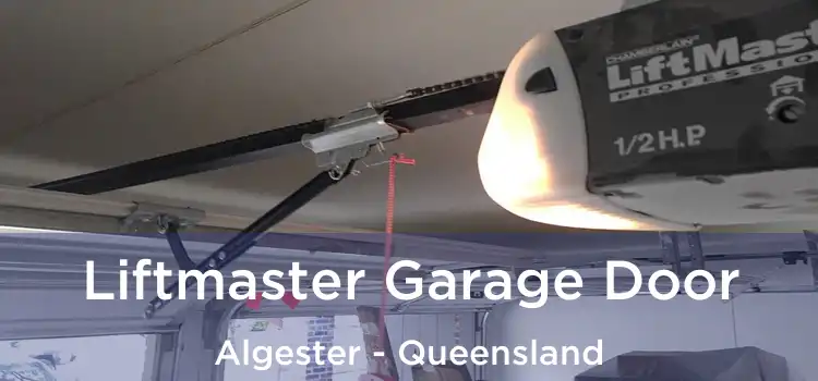 Liftmaster Garage Door Algester - Queensland
