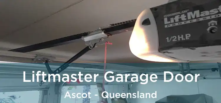 Liftmaster Garage Door Ascot - Queensland