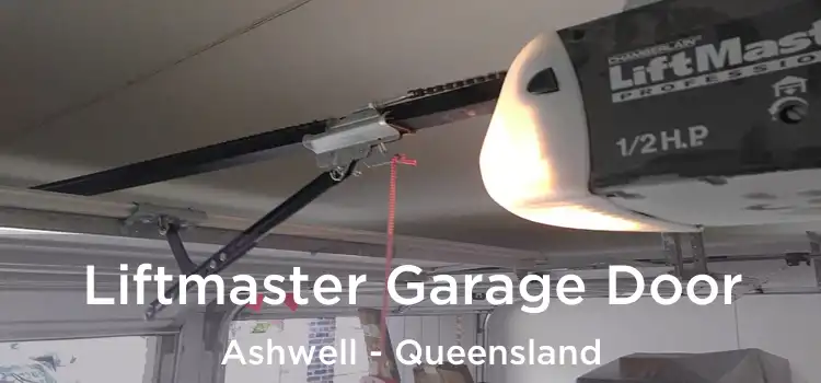 Liftmaster Garage Door Ashwell - Queensland