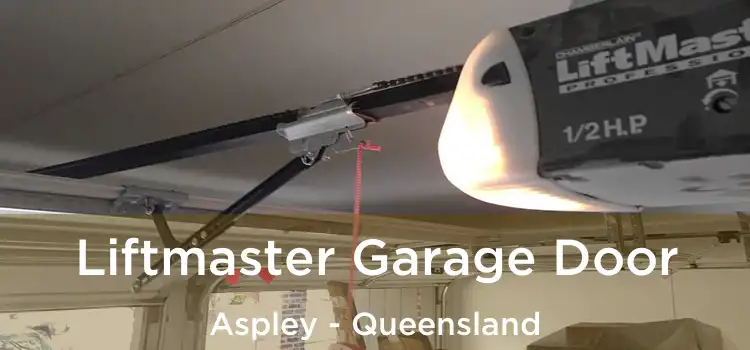 Liftmaster Garage Door Aspley - Queensland