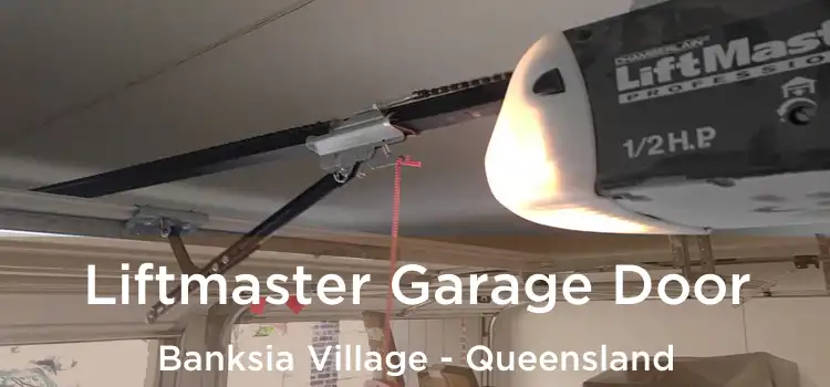 Liftmaster Garage Door Banksia Village - Queensland