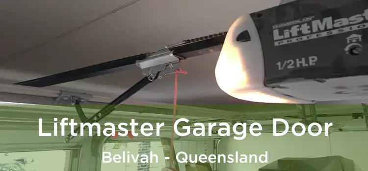 Liftmaster Garage Door Belivah - Queensland