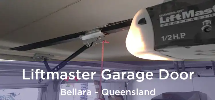Liftmaster Garage Door Bellara - Queensland