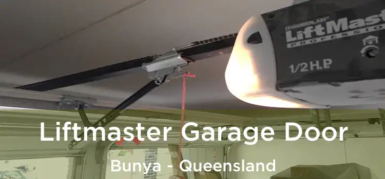 Liftmaster Garage Door Bunya - Queensland