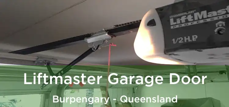 Liftmaster Garage Door Burpengary - Queensland