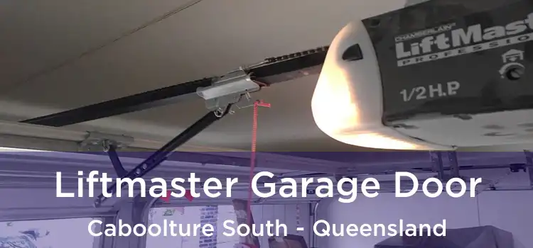 Liftmaster Garage Door Caboolture South - Queensland
