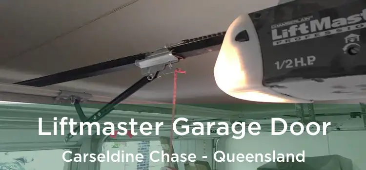 Liftmaster Garage Door Carseldine Chase - Queensland