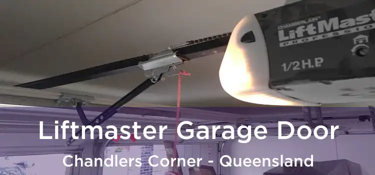 Liftmaster Garage Door Chandlers Corner - Queensland