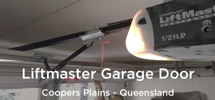 Liftmaster Garage Door Coopers Plains - Queensland