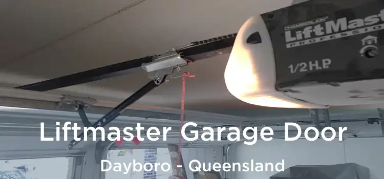 Liftmaster Garage Door Dayboro - Queensland