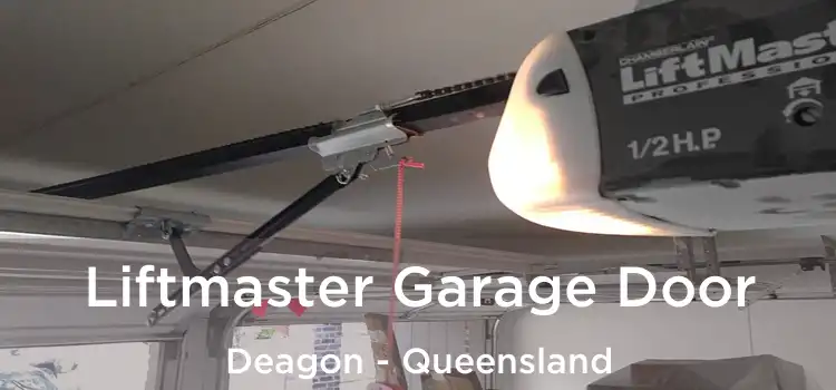 Liftmaster Garage Door Deagon - Queensland