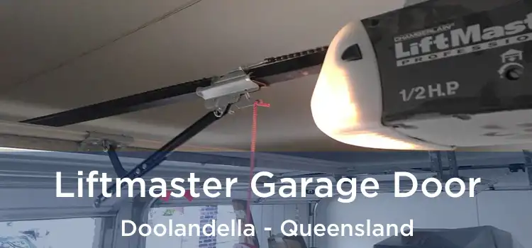 Liftmaster Garage Door Doolandella - Queensland