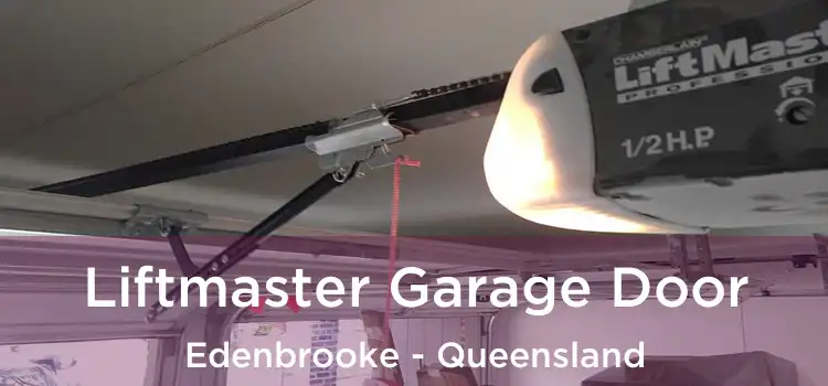 Liftmaster Garage Door Edenbrooke - Queensland