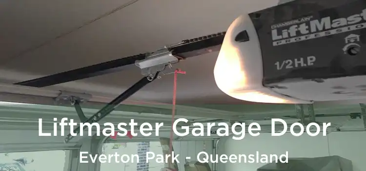 Liftmaster Garage Door Everton Park - Queensland