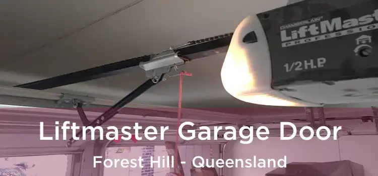 Liftmaster Garage Door Forest Hill - Queensland