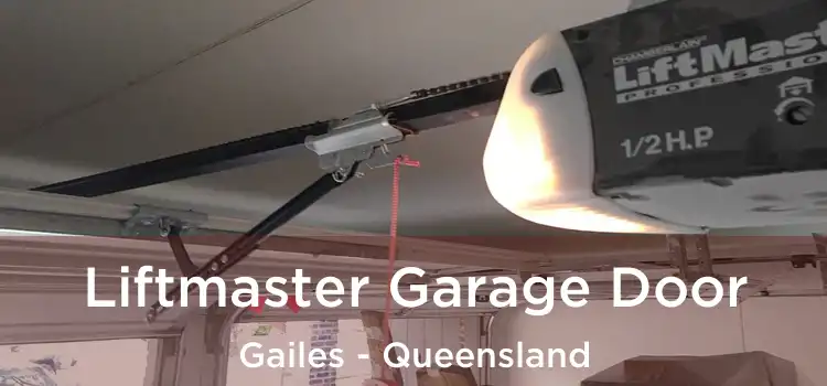 Liftmaster Garage Door Gailes - Queensland