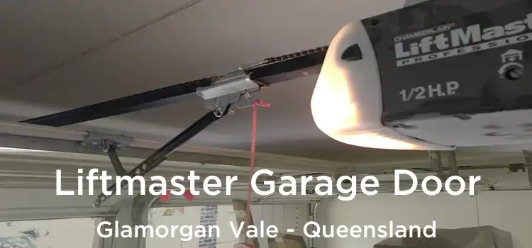 Liftmaster Garage Door Glamorgan Vale - Queensland
