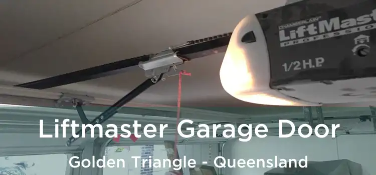 Liftmaster Garage Door Golden Triangle - Queensland