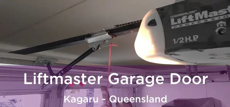 Liftmaster Garage Door Kagaru - Queensland