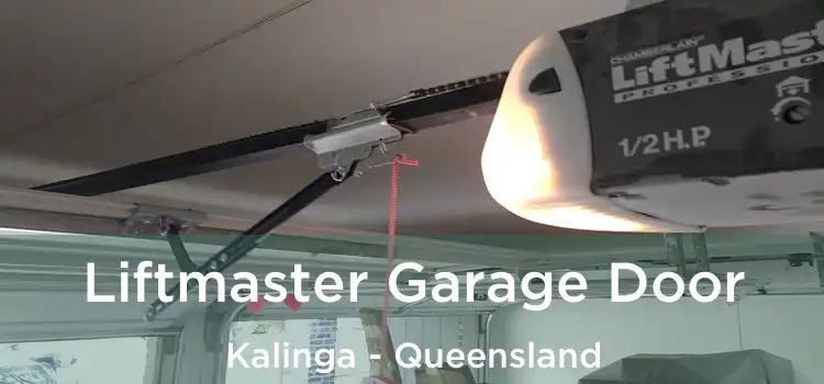 Liftmaster Garage Door Kalinga - Queensland