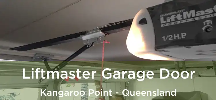 Liftmaster Garage Door Kangaroo Point - Queensland