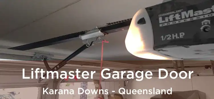 Liftmaster Garage Door Karana Downs - Queensland