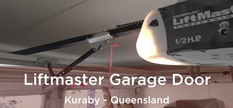 Liftmaster Garage Door Kuraby - Queensland