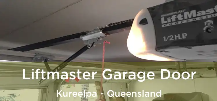 Liftmaster Garage Door Kureelpa - Queensland