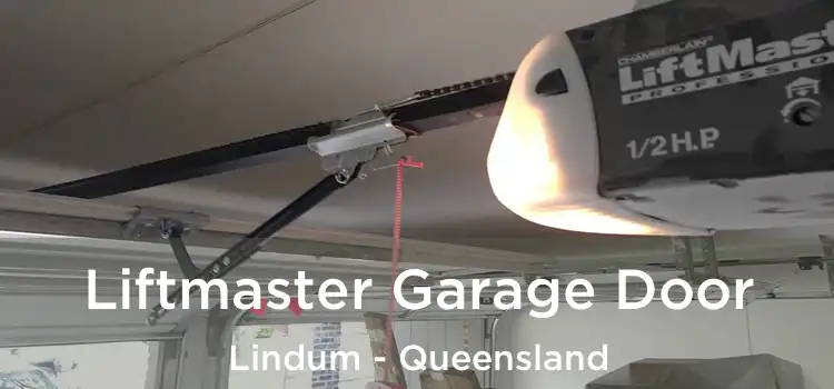 Liftmaster Garage Door Lindum - Queensland