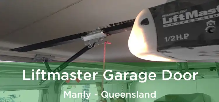 Liftmaster Garage Door Manly - Queensland