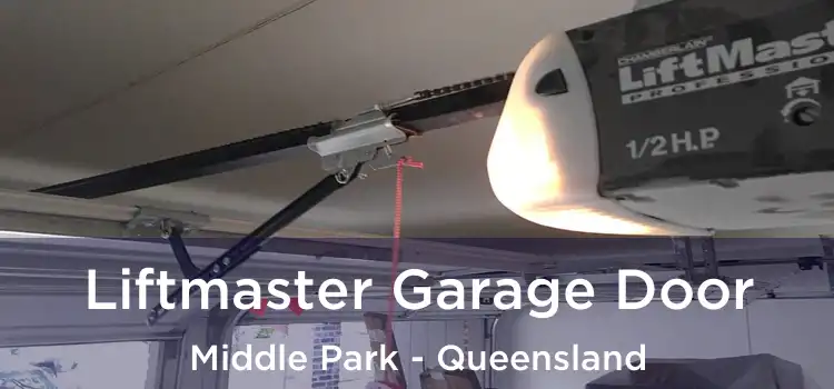 Liftmaster Garage Door Middle Park - Queensland