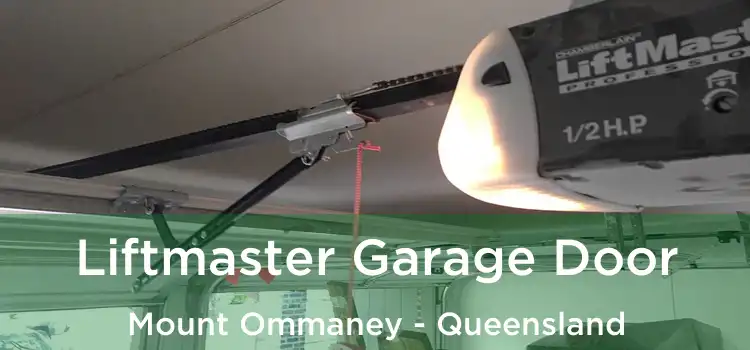 Liftmaster Garage Door Mount Ommaney - Queensland