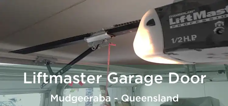 Liftmaster Garage Door Mudgeeraba - Queensland