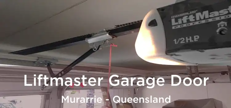 Liftmaster Garage Door Murarrie - Queensland