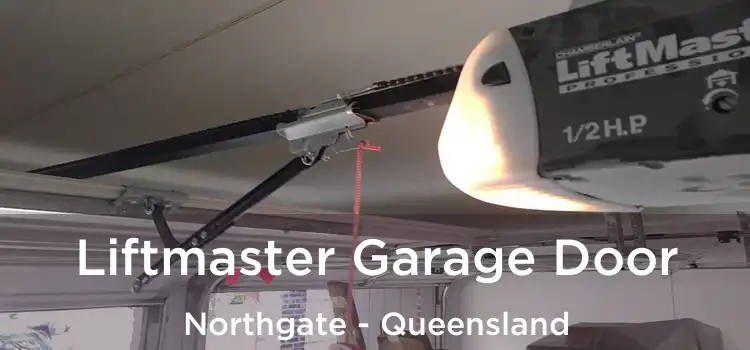 Liftmaster Garage Door Northgate - Queensland